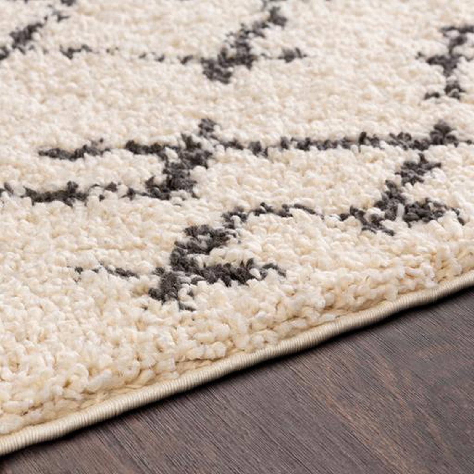 Surya Berber Shag BBE-2301 Rug