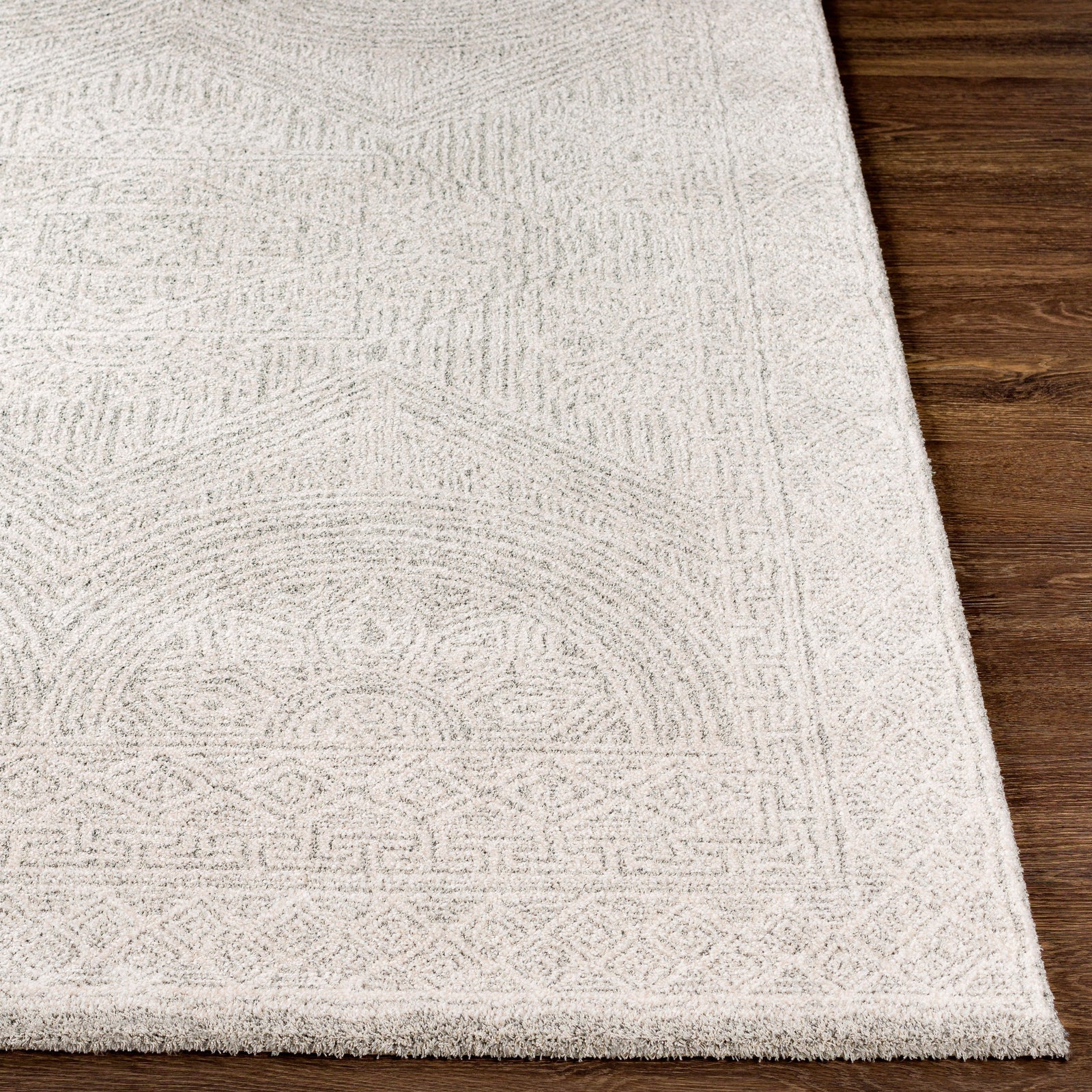 Surya Gavic GVC-2301 Rug