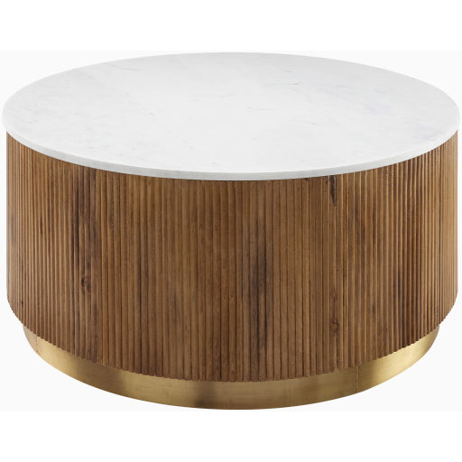 Surya Nems Coffee Table