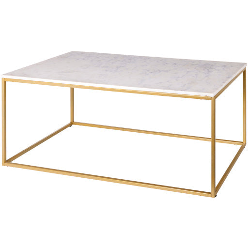 Surya Aryaa Coffee Table