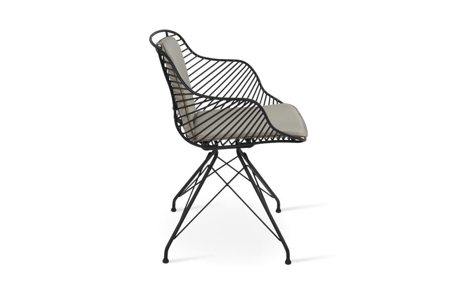 Zebra Armchair